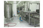 Continuous Frying System