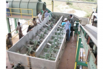 Tubers Washing